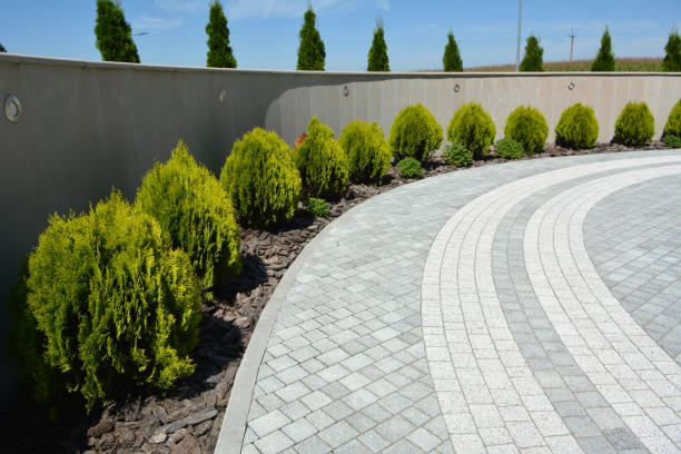 Best Local Driveway Pavers  in Willow Park, TX
